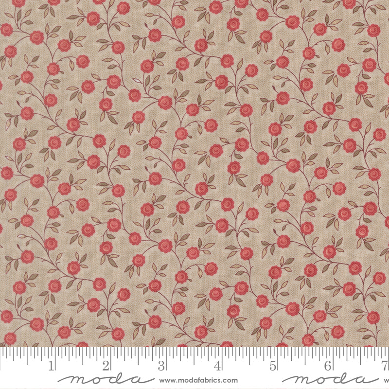 French General - Fleur de Paris - 1399514