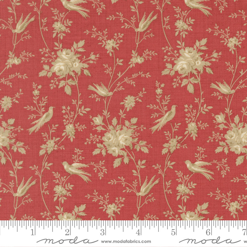 French General - Fleur de Paris - 1399616