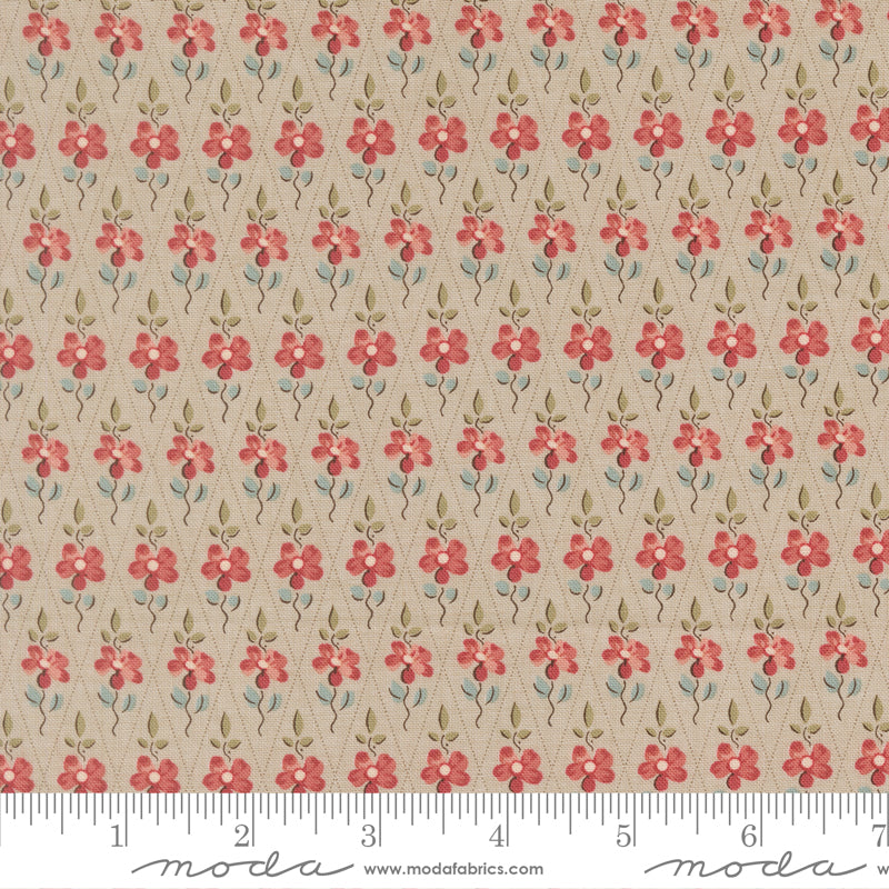 French General - Fleur de Paris - 1399714