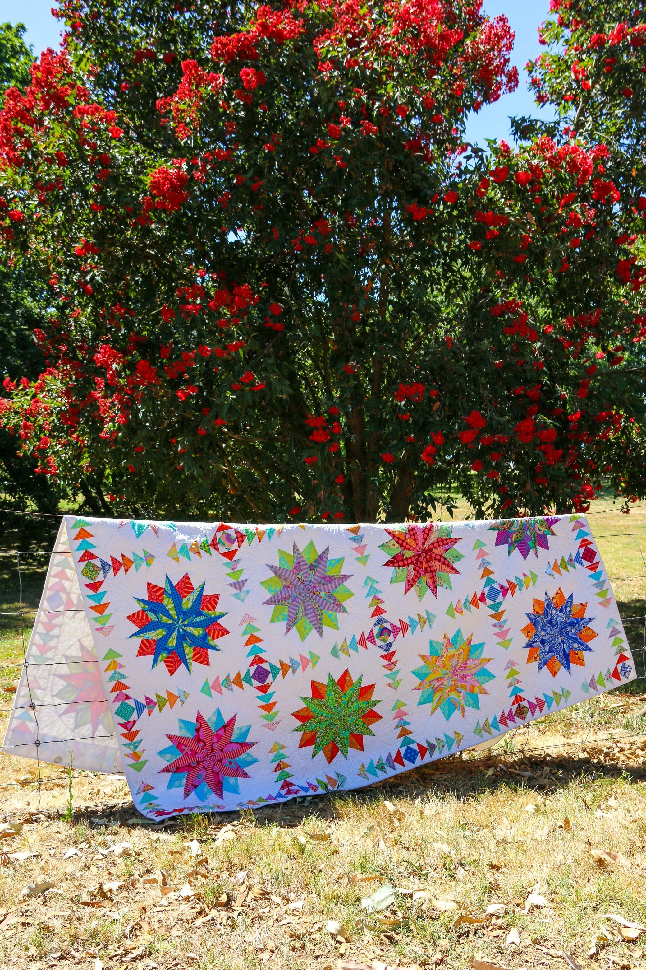 Harlequin Stars Quilt Pattern