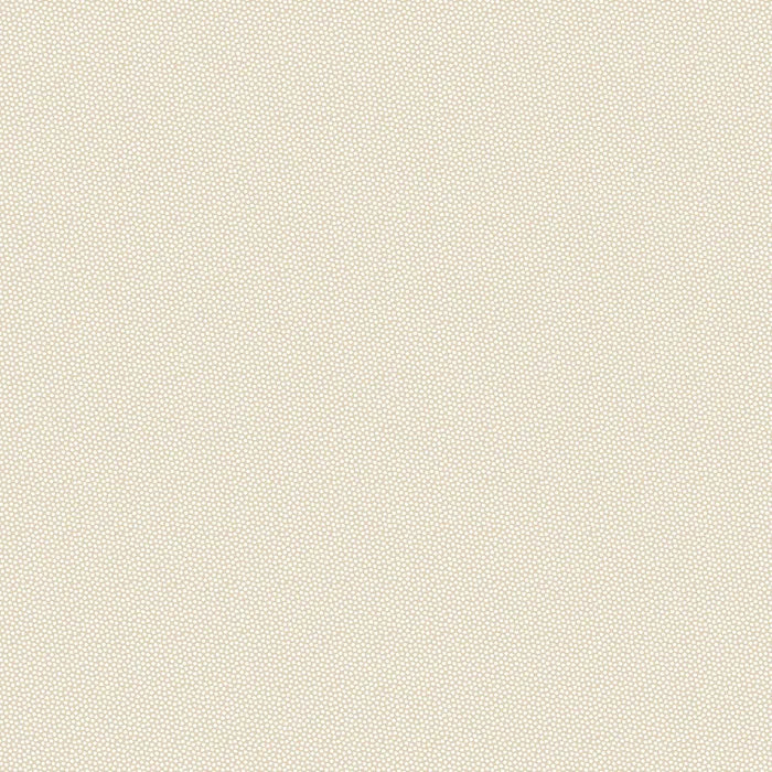 Petra Prins Pin Dots Cream PP1503