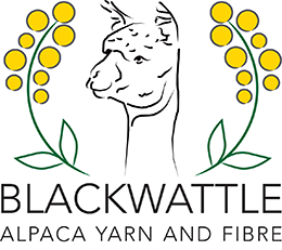 Blackwattle