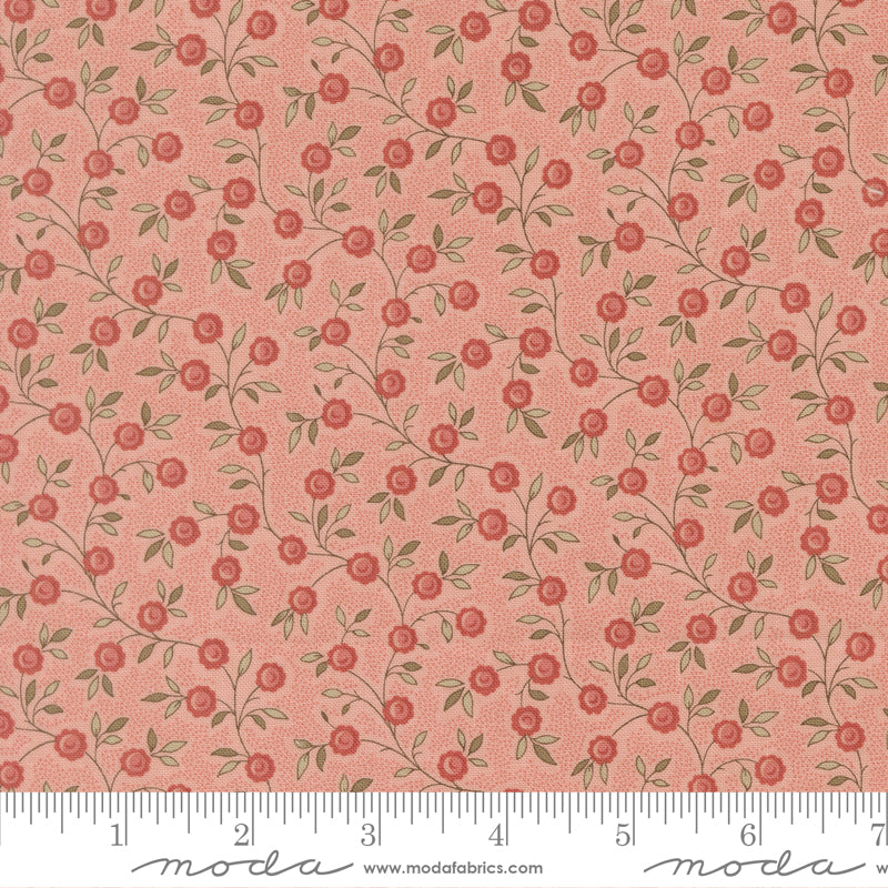 French General - Fleur de Paris - 1399516