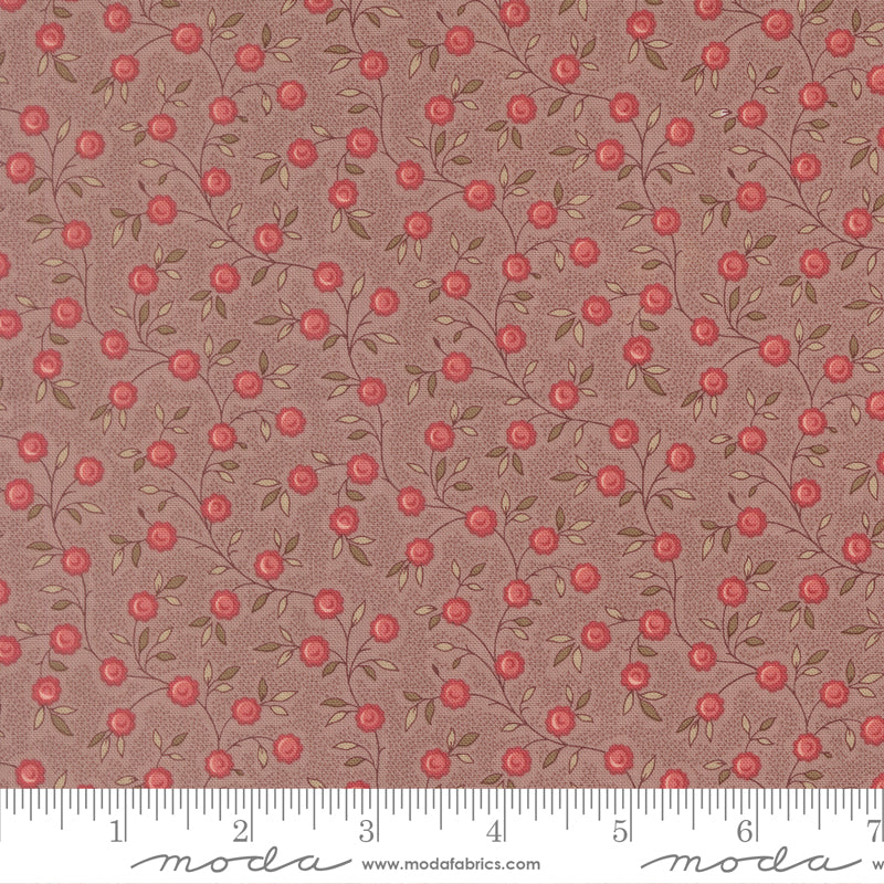 French General - Fleur de Paris - 1399517