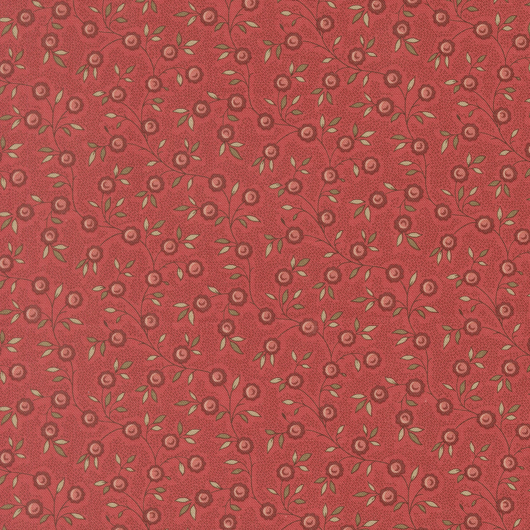French General - Fleur de Paris - 1399515
