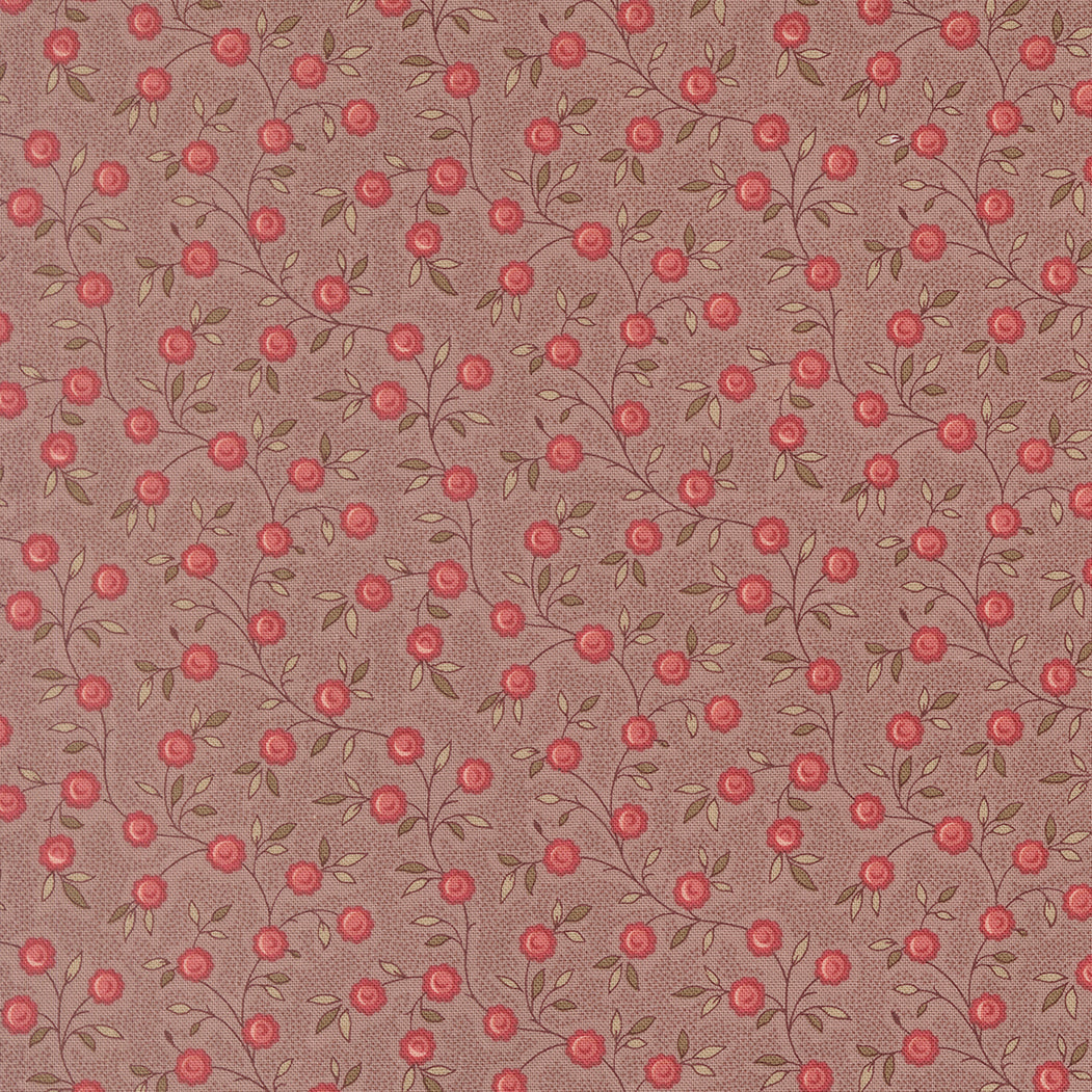 French General - Fleur de Paris - 1399517