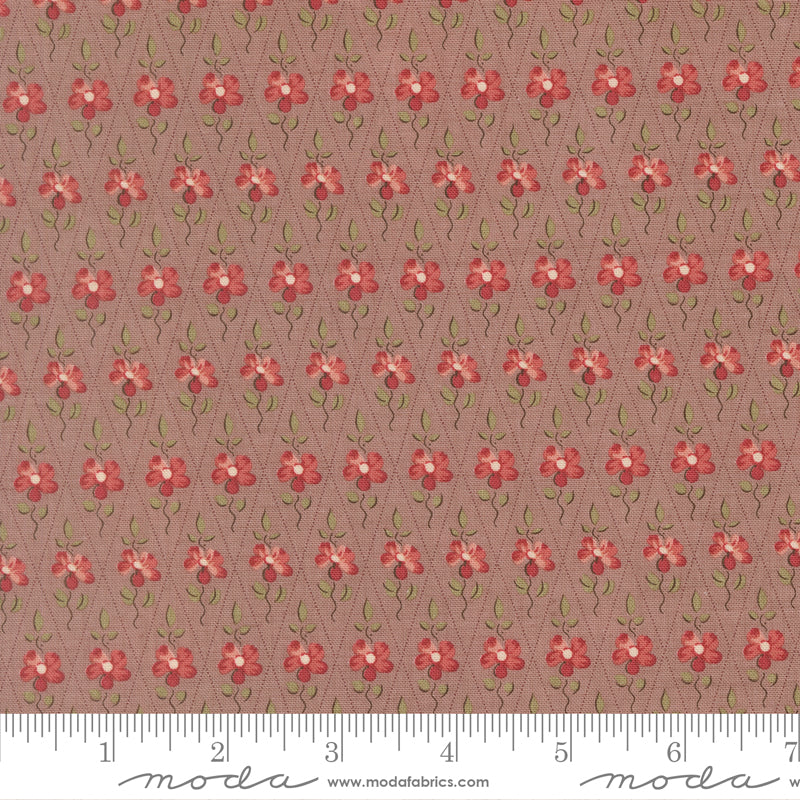 French General - Fleur de Paris - 1399717