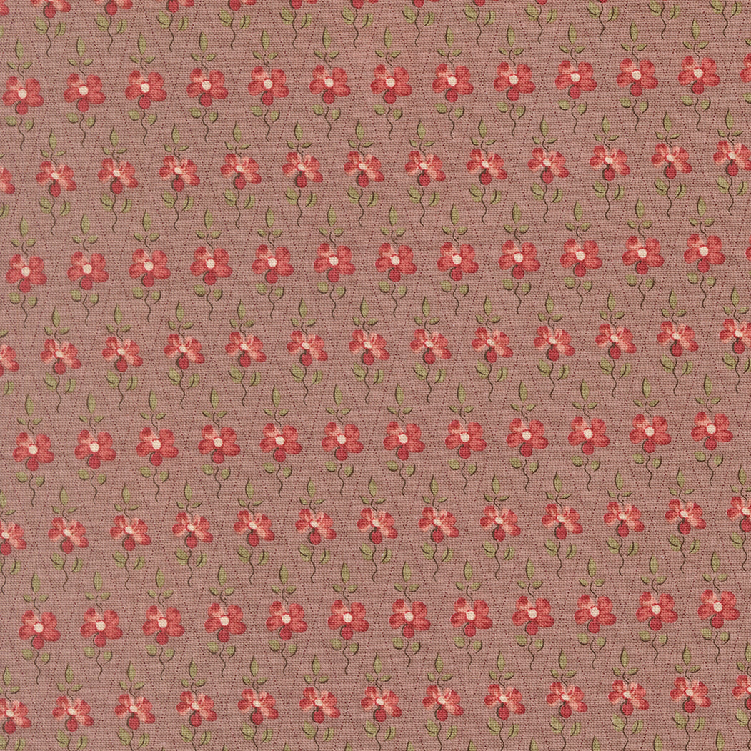 French General - Fleur de Paris - 1399717