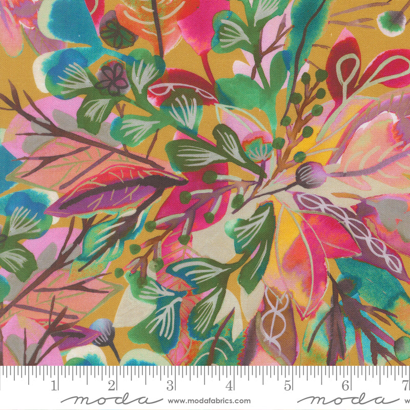 Amarylis Henderson - Northern Brights - 2185212