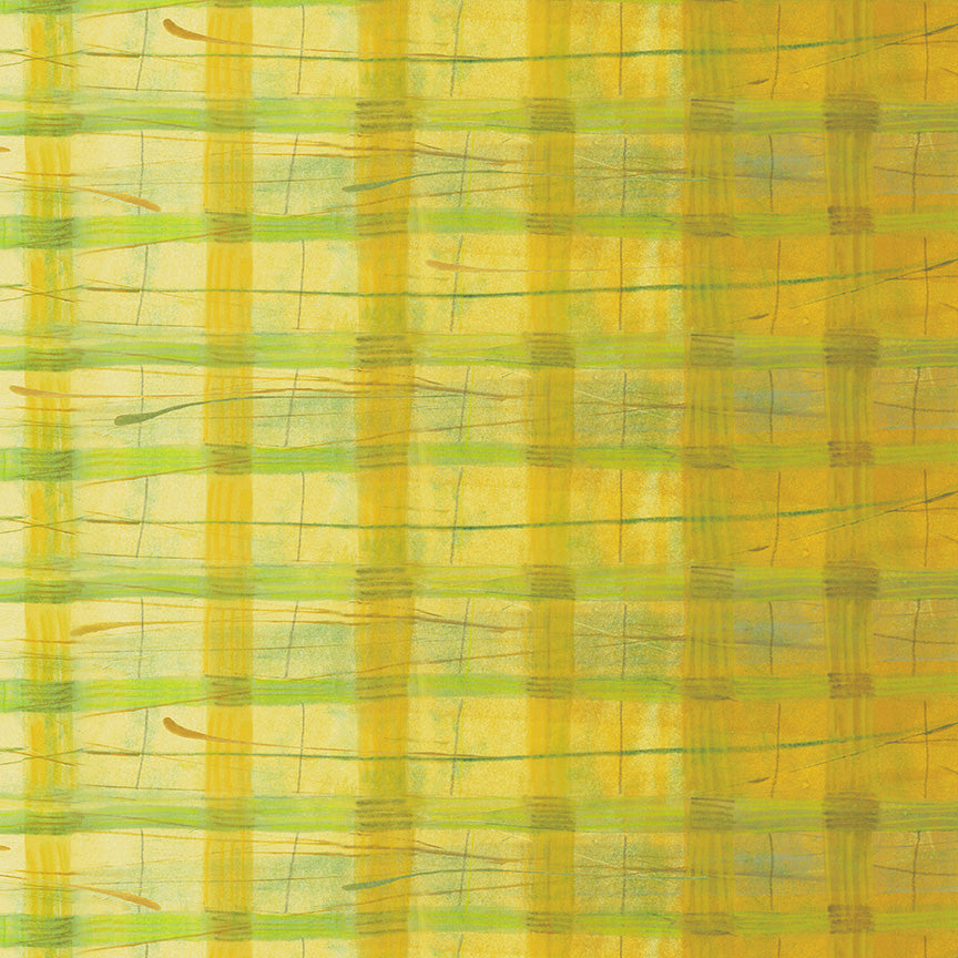 Marcia Derse - The Plaid One - 54919D2