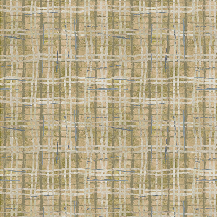 Marcia Derse - The Plaid One - 54920D3