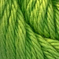 Fiddlesticks Finch - 10 ply Cotton