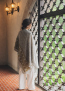 Amirisu Assemblage - Volume 1 - 2025