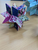 Moravian Star - Workshop with Wilma