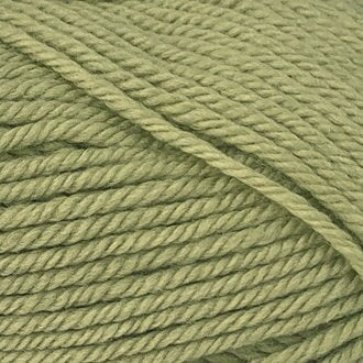 Peppin #3 DK/8ply - 829 Leaf - 100% Wool